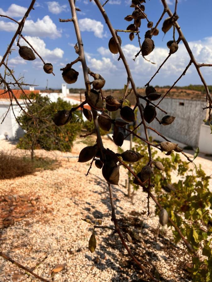 הוילה רגואנגוס דה מונסאראז Casa Da Eira מראה חיצוני תמונה