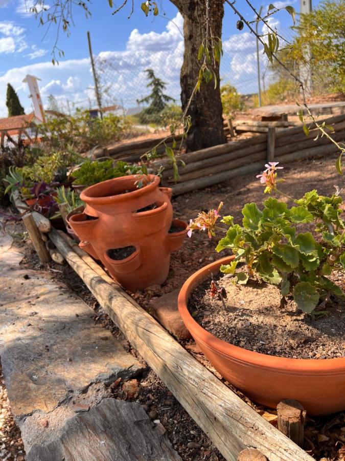 הוילה רגואנגוס דה מונסאראז Casa Da Eira מראה חיצוני תמונה