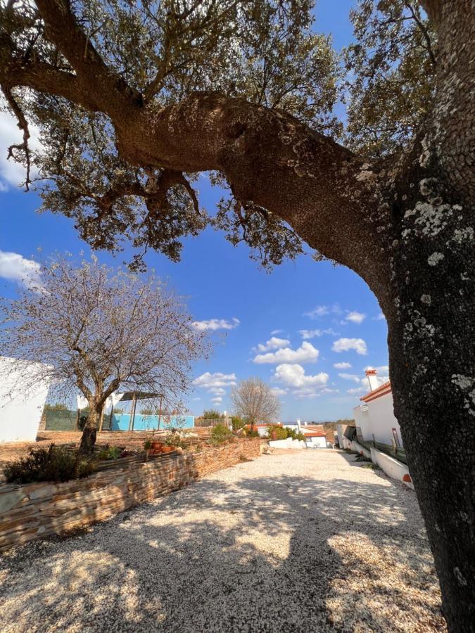 הוילה רגואנגוס דה מונסאראז Casa Da Eira מראה חיצוני תמונה